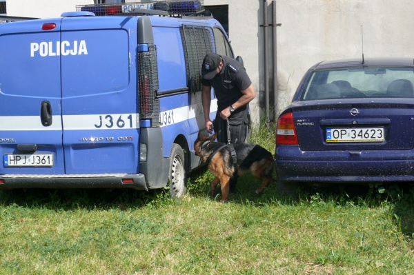 Psy policyjne szukają narkotyków i ładunków wybuchowych