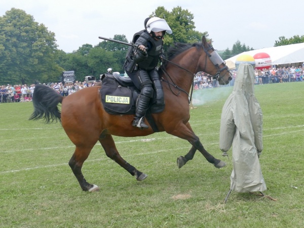  Chorzowski Zespół Policji Konnej, pokaz w Porębie