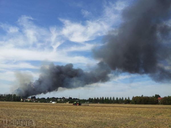 Pożar hali w Leśnicy