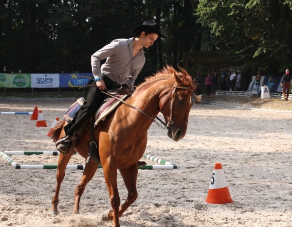 Art Cup 2015 - western riding