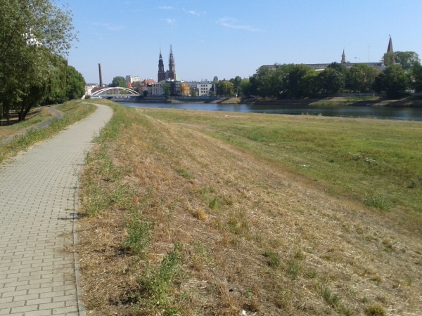 Tutaj pojawią się ławki i kosze na śmieci