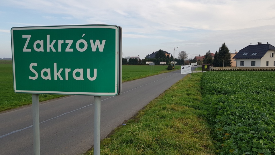 Droga powiatowa przez Zakrzów [fot. A. Pospiszyl]