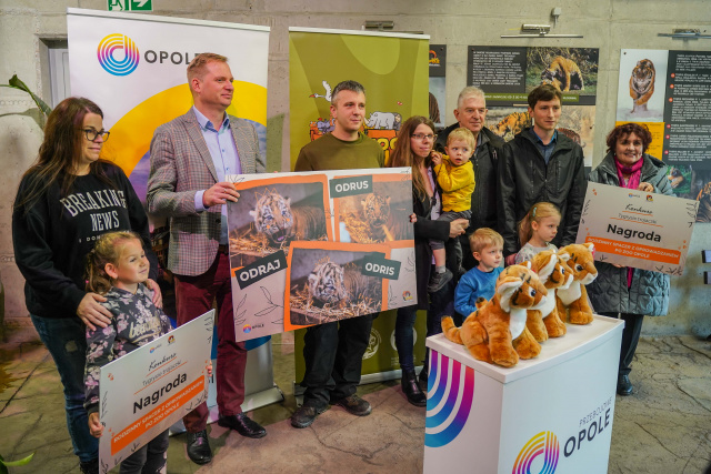 Odrus, Odraj, Odris - tygrysiątka z opolskiego zoo mają już imiona