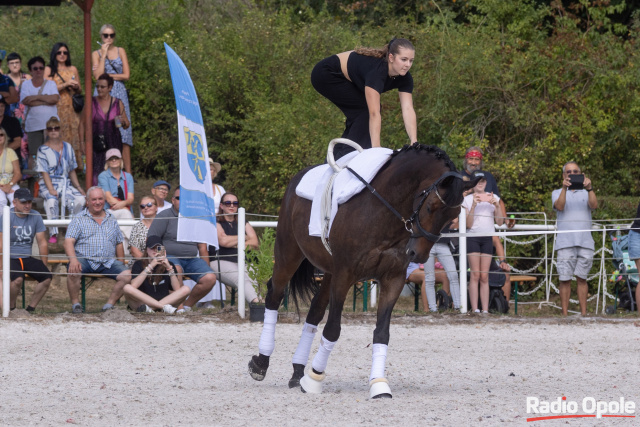 Aktorzy i gwiazdy telewizji zmagały się na XXVI Art Cup w Mosznej