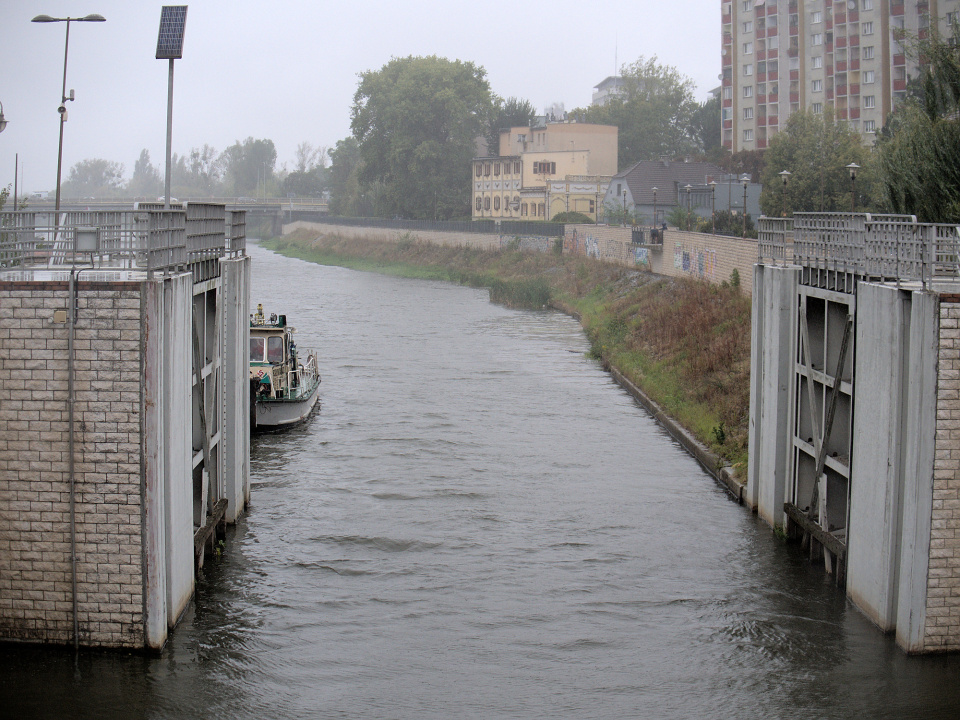 Opady deszczu w Opolu, Młynówka [fot. Wanda Kownacka]