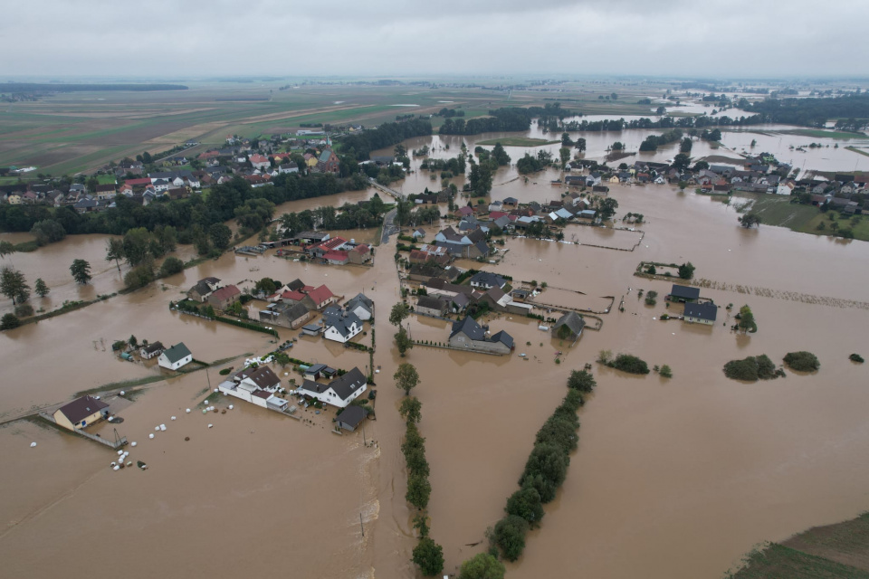 Łowkowice (16.09.2024) [fot. Jędrzej Łuczak]