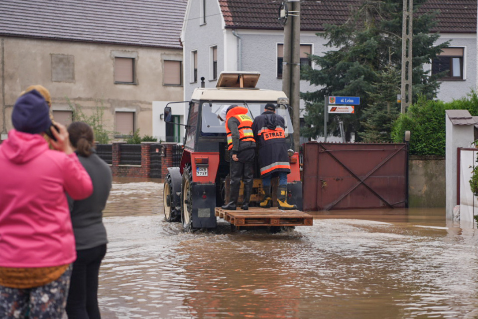 Łowkowice (16.09.2024) [fot. Jędrzej Łuczak]