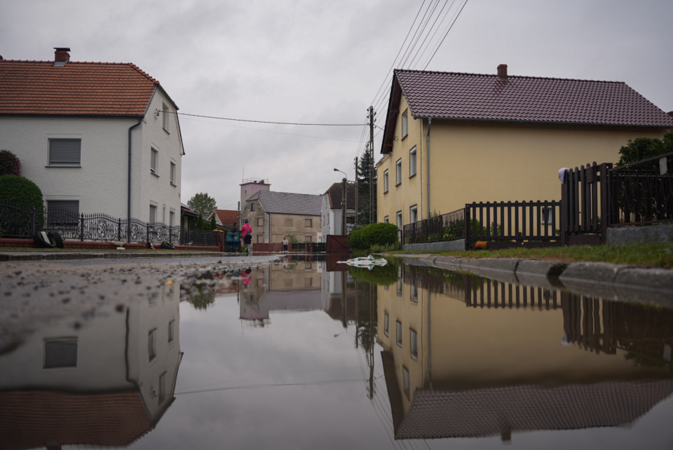 Łowkowice (16.09.2024) [fot. Jędrzej Łuczak]