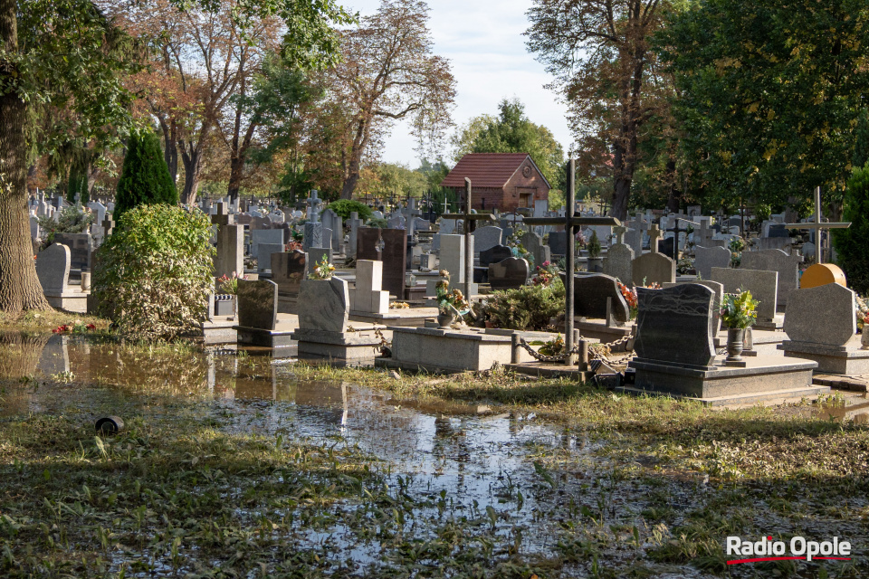 Zalany Cmentarz w Lewinie Brzeskim, 24.09.2024 r. [fot. Jędrzej Łuczak]