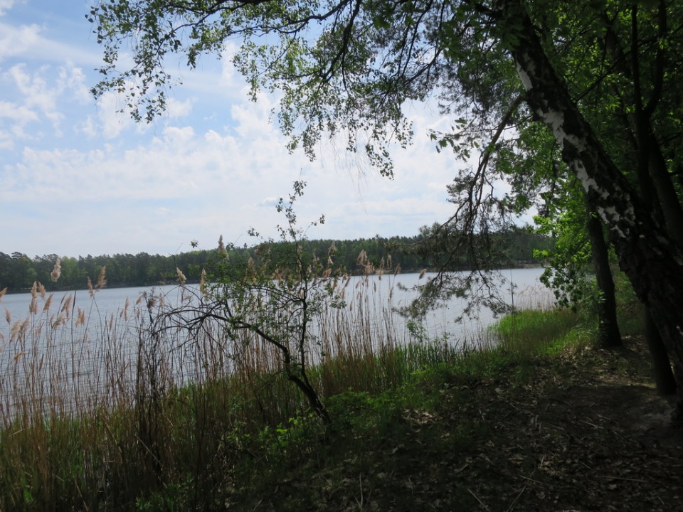Jezioro w Osowwcu, archiwum [fot. Barbara Tyslik]
