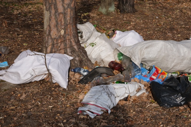 Schowali w lesie kamery i nagrali wyrzucających nielegalnie śmieci. Zapłacą i posprzątają