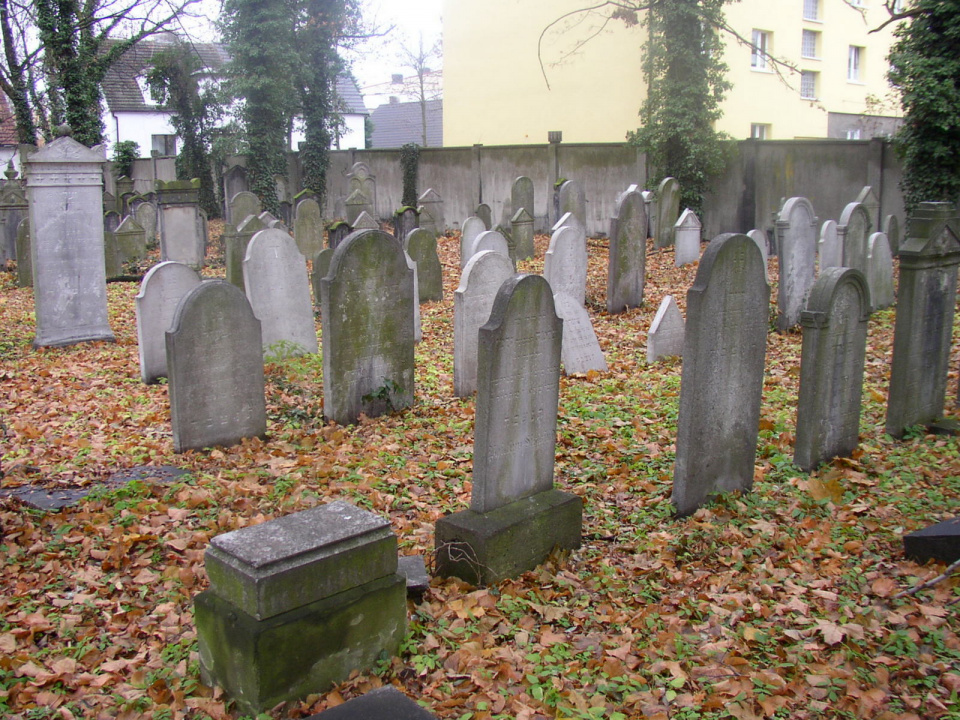 Cmentarz żydowski w Nowej Wsi Królewskiej [fot. Joachim Sosnowski]