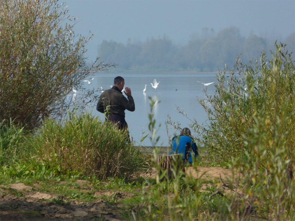 Europejskie Dni Ptaków 2014 - Jezioro Turawskie [fot. Łukasz Berlik]