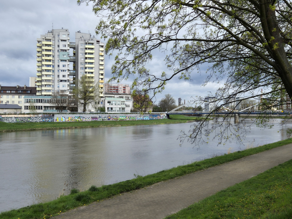 Nad rzeką Odrą, w Opolu [fot. Barbara Tyslik]