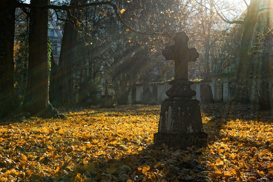 W audycji o pracach na cmentarzu w Hanaczowie i Ciemierzyńcach w ramach akcji "Mogiłę pradziada ocal od zapomnienia" [https://pixabay.com/pl]
