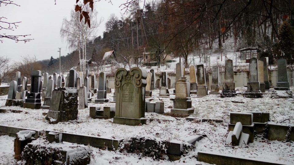 Cmentarz Żydowski w Krnovie [fot. Ewelina Rusin-Różycka]