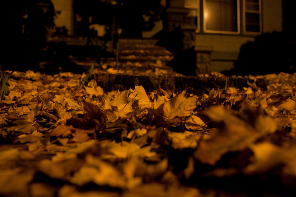 "Listopadowa noc" [fot. Envato.com]