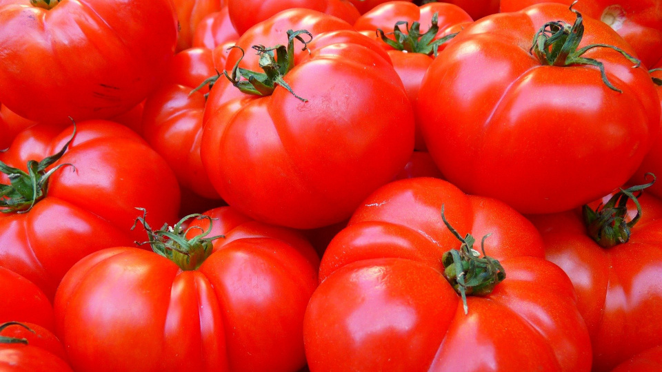 Pomidory [fot. LoggaWiggler/Pixabay]
