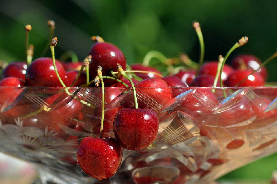 W sezonie czereśniowym nie sposób nie sprawdzić, co wartościowego jest w tych smacznych owocach [fot. https://pixabay.com/pl]