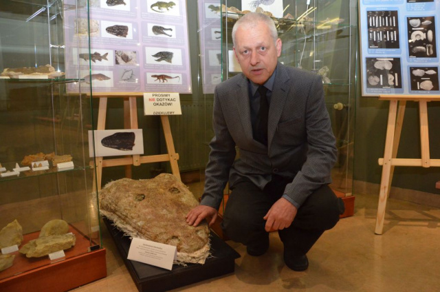 Noc Muzeów. Uniwersytet Opolski pokazał skamieniałości i czaszkę dinozaura z Krasiejowa