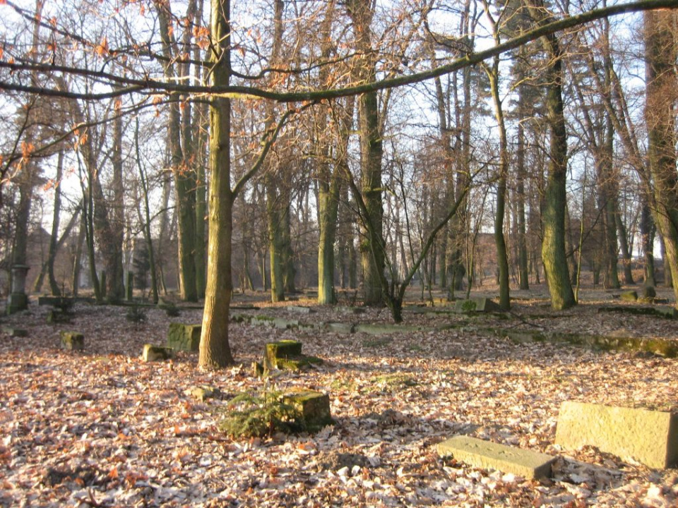 Cmentarz garnizonowy w Nysie [fot.Dorota Kłonowska]