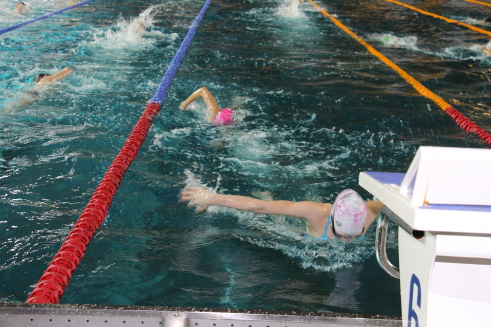 Kadra Narodowa w pływaniu podczas zgrupowania w Opolu na basenie Wodna Nuta [fot. Donat Przybylski]