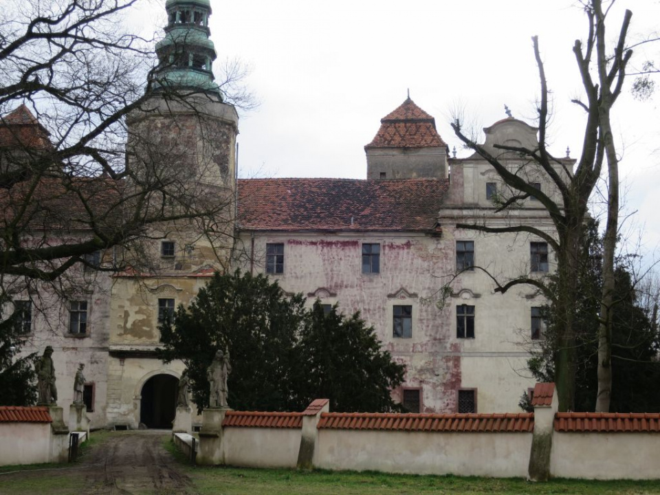 Zamek Niemodlin [ foto: Bogusław Kalisz ]