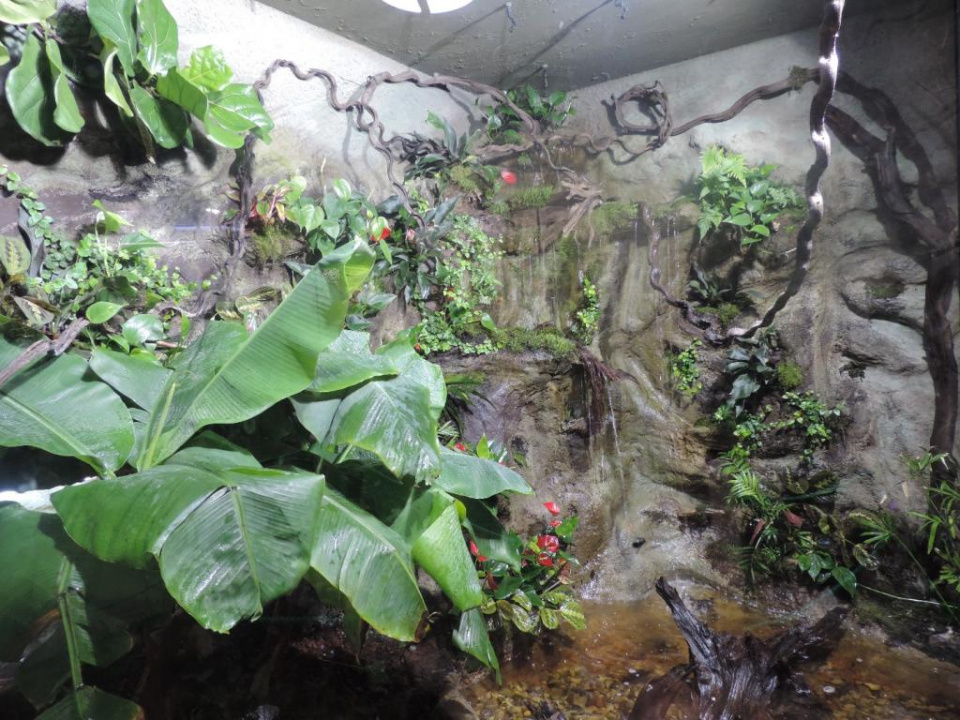 Otwarcie terrarium w opolskim zoo [fot. Sandra Waluś]