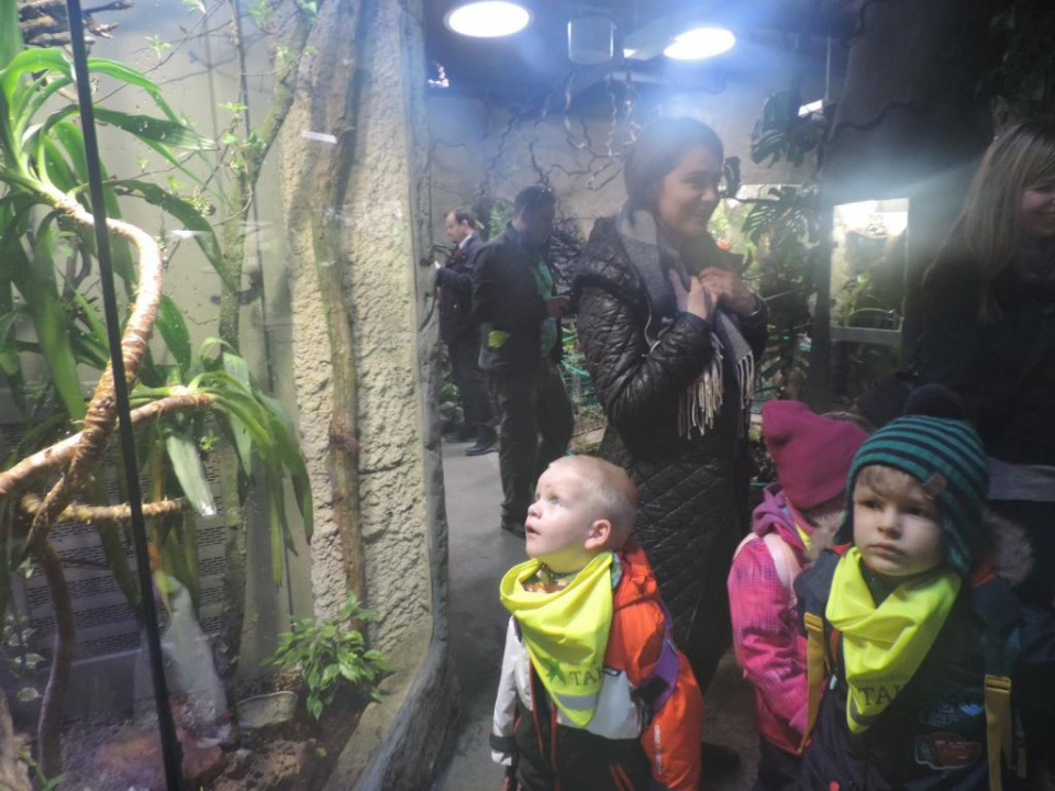 Otwarcie terrarium w opolskim zoo [fot. Sandra Waluś]