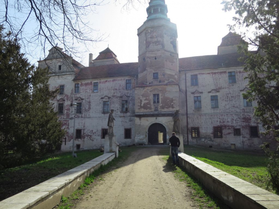 Zamek w Niemodlinie [ foto: Bogusław Kalisz ]