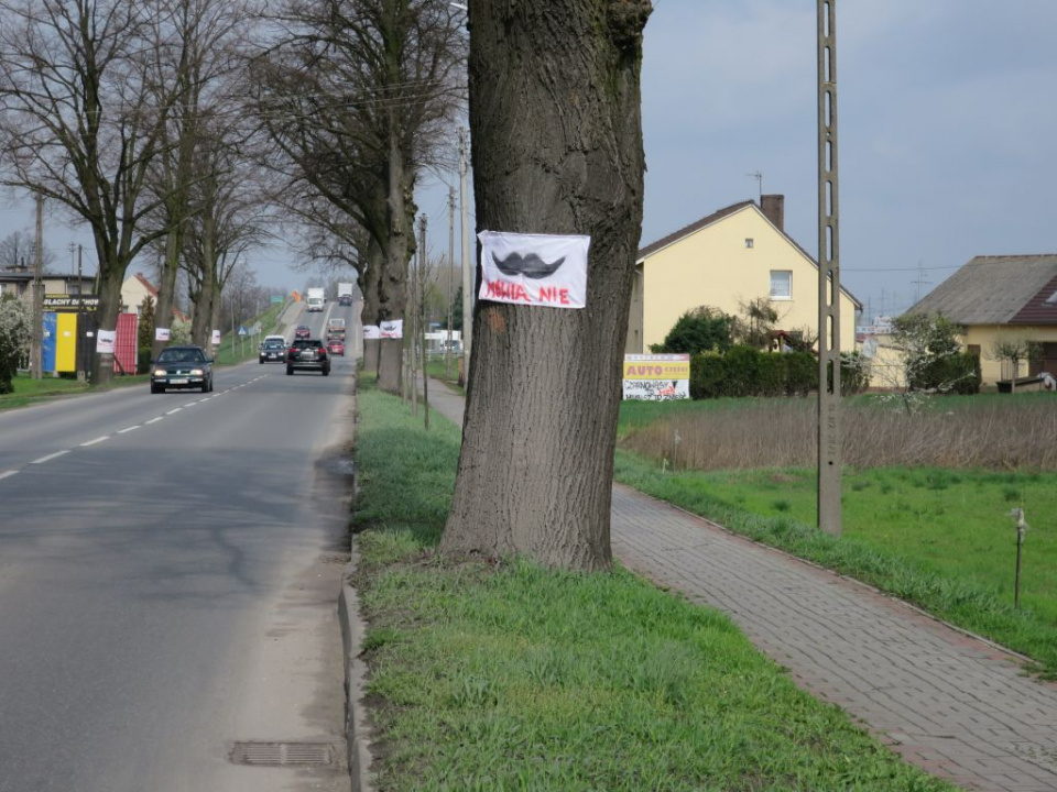 Samorządy spierają się o większe Opole [ foto: Bogusław Kalisz ]