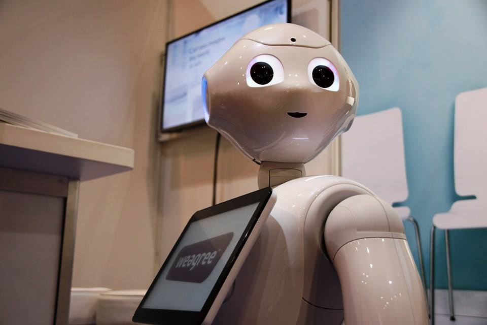 Inteligentny robot Pepper zostanie zaprezentowany po raz pierwszy w Polsce i to właśnie w Opolu [fot. materiały organizatora, źródło: https://www.facebook.com/weegreeworld/photos_stream