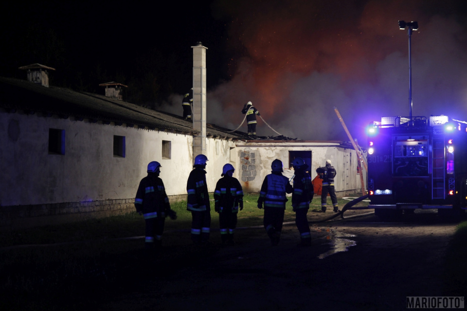 Pożar budynku magazynowo - produkcyjnego w Tarnowie Opolskim [fot. Mariusz Materlik]