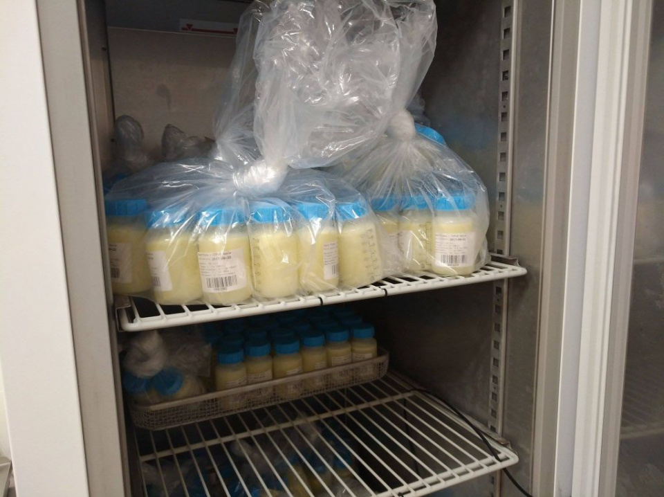 Mleko przechowywane w Banku Mleka Kobiecego [fot. Katarzyna Doros]