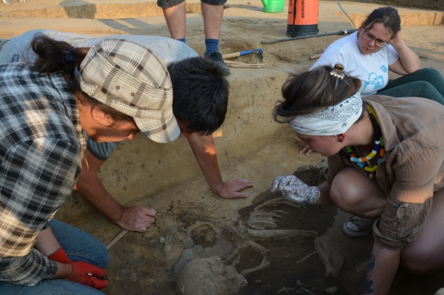 Co naukowcy odczytali z odkrytego w gminie Cisek grobu wodza plemiennego z początków epoki brązu
