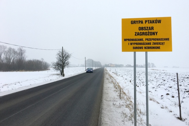Ognisko grypy ptaków w województwie śląskim. Zaostrzone zasady bezpieczeństwa w gminie Bierawa