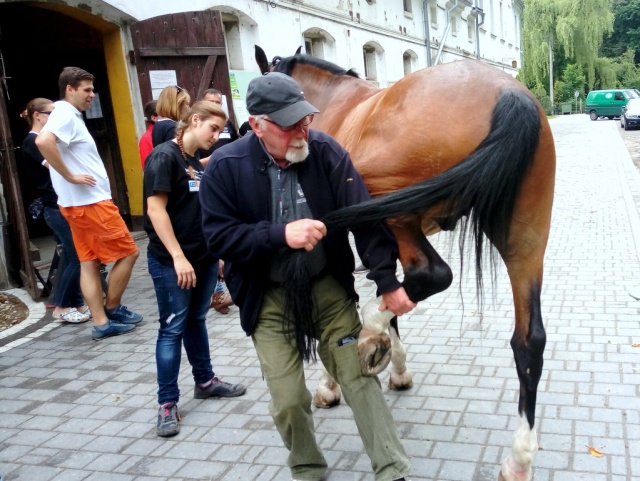 Były olimpijczyk opowiadał w Mosznej o podejściu do koni. To część polsko-czeskiego projektu