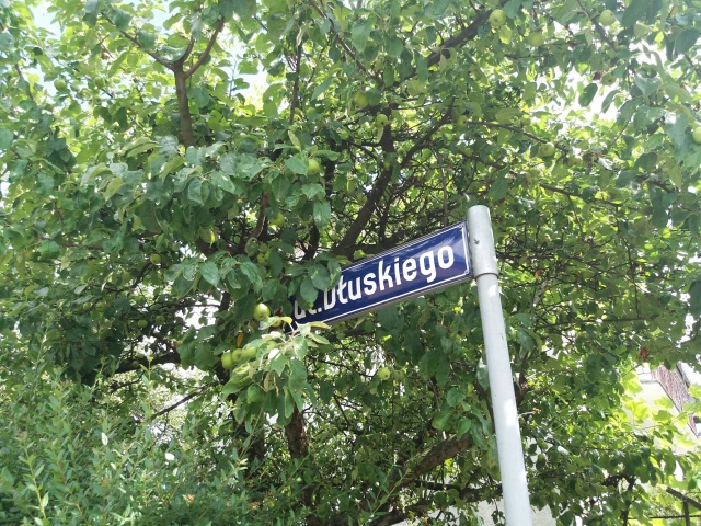 Wymienią Dłuskiego na Żołnierzy Wyklętych Brzescy radni zdecydują o zmianie nazwy ulicy