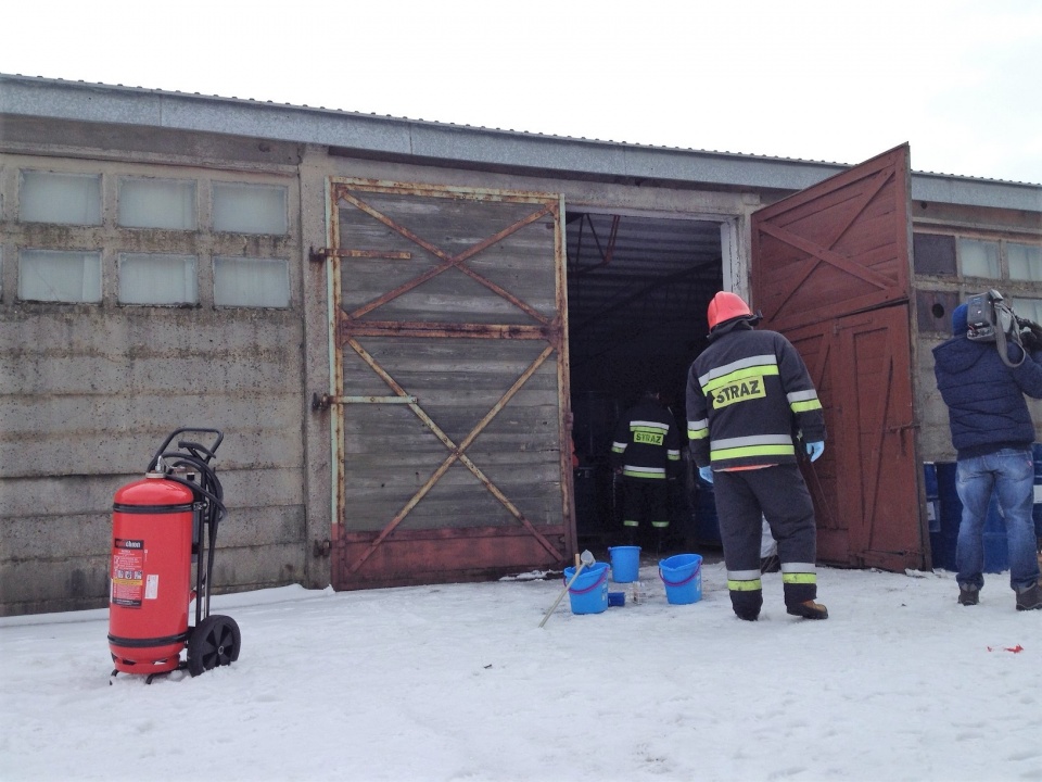 Strażacy badają chemikalia zlokalizowane na terenie dawnego zakładu produkcyjnego w Pogorzeli [fot. Maciej Stępień]
