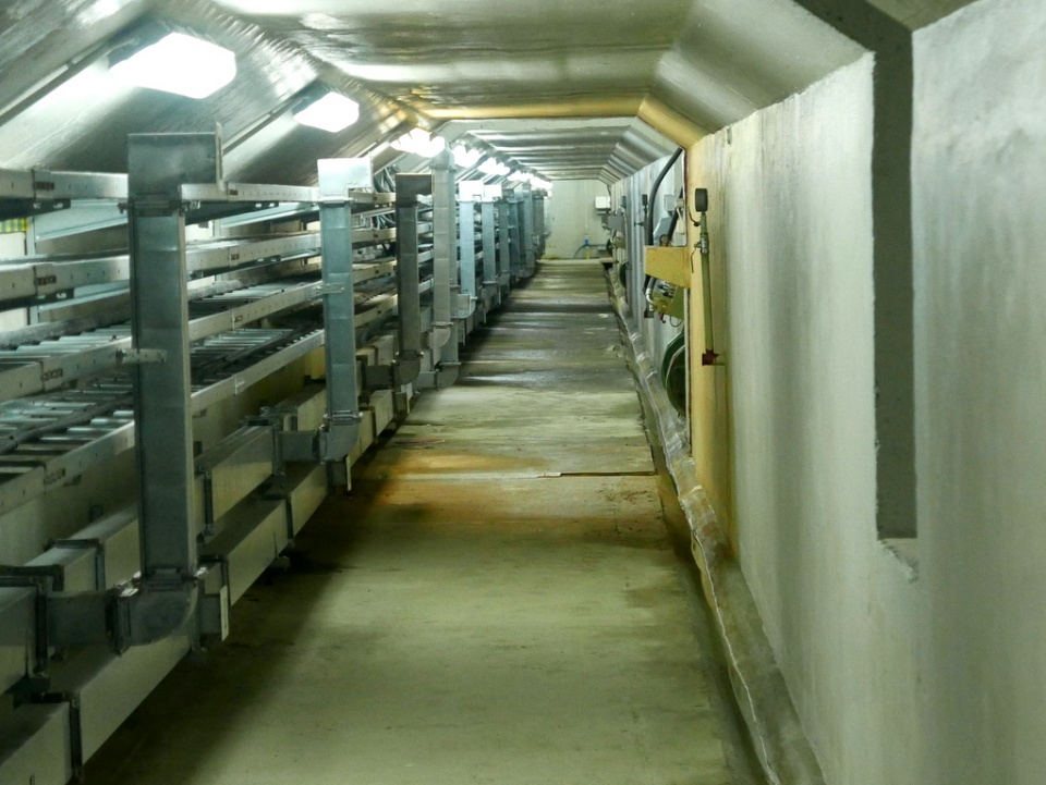 Tunel pod Odrą [fot. Witek Wośtak]