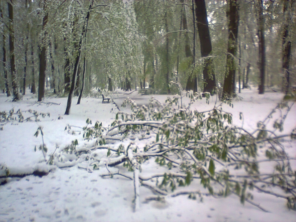 Park miejski w Prudniku po intensywnych opadach śniegu [zdj. Jan Poniatyszyn]