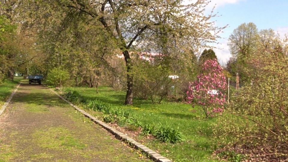 Park przy nyskim ROLNIKU [Fot.Starostwo Powiatowe w Nysie]