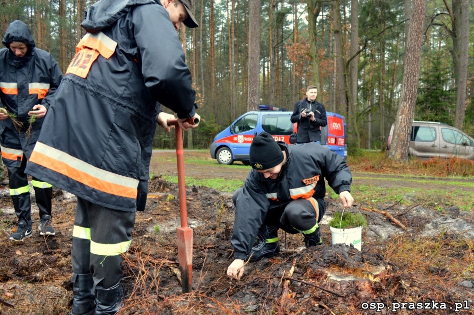 Strażacy z Praszki sadzą las [fot. OSP Praszka]