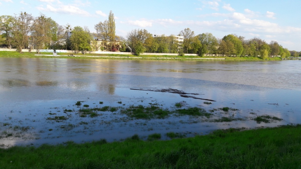 Wysoki poziom wody w Odrze w Opolu [fot. Aneta Skomorowska-Kobza]