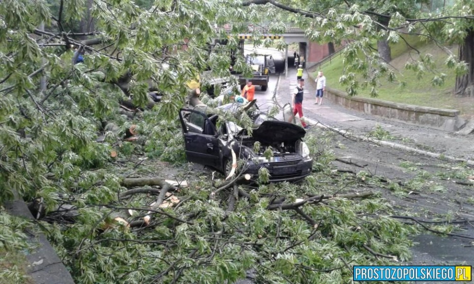 Drzewo spadło na samochód w Brzegu [fot. Bartosz Spychała/www.prostozopolskiego.pl]