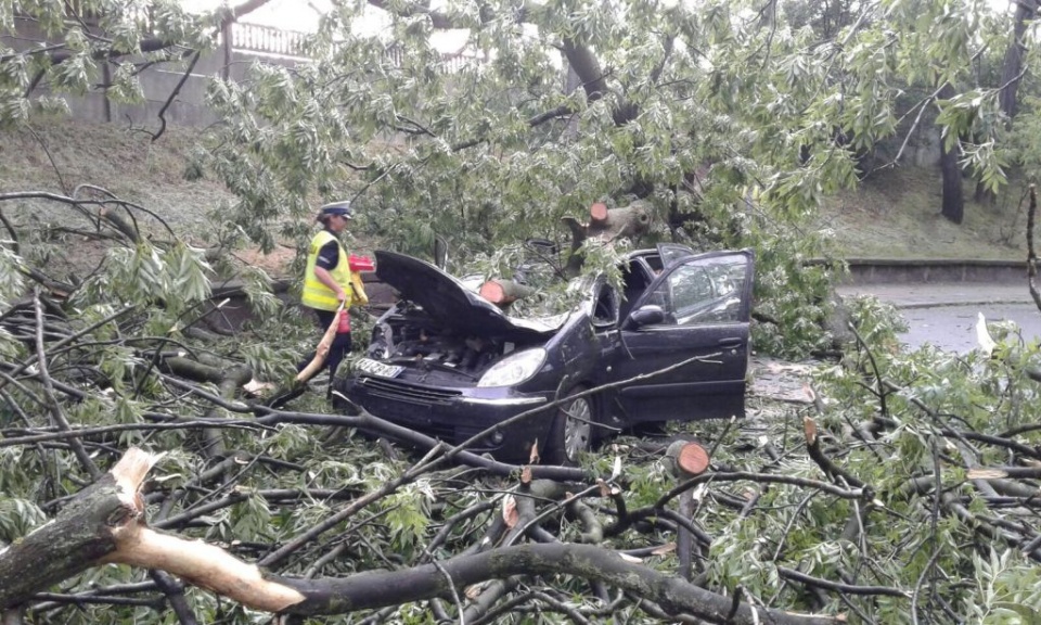 Drzewo spadło na samochód w Brzegu. Ranne dwie osoby [fot. Bartosz Spychała/www.prostozopolskiego.pl]