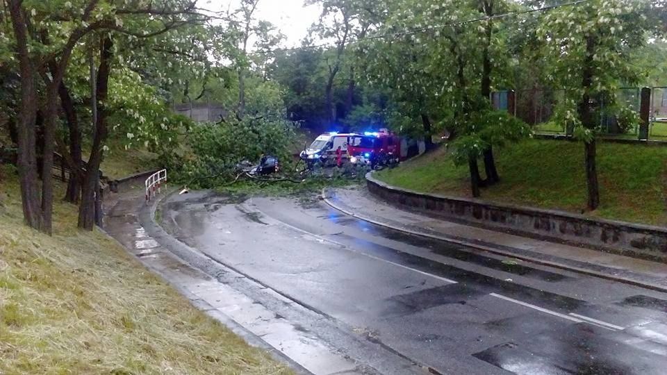 W Brzegu drzewo spadło na samochód [fot. Bartosz Spychała/www.prostozopolskiego.pl]