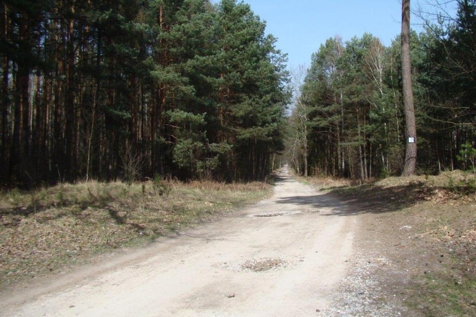 Droga między Boryczą a Krzyżową Doliną [fot. archiwum gminy]