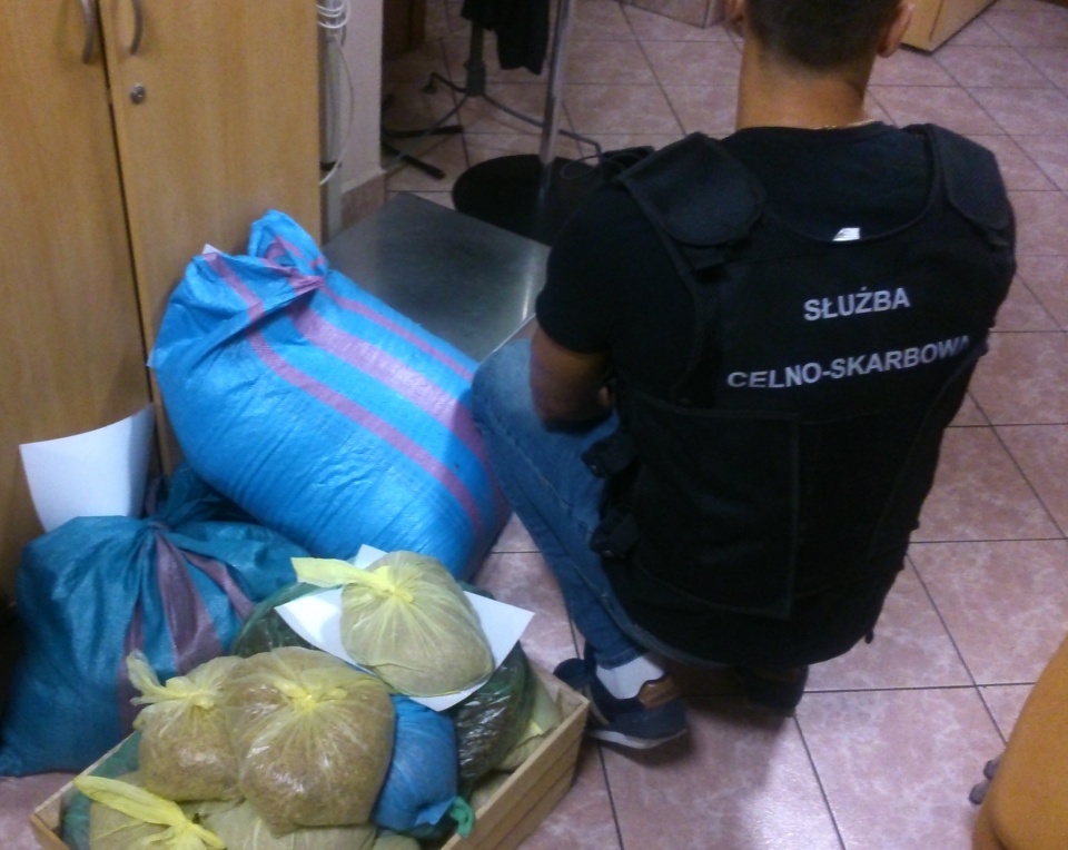 Funkcjonariusze Krajowej Administracji Skarbowej w Opolu znaleźli ponad 35 kg tytoniu do palenia bez akcyzy [fot. materiały IAS]