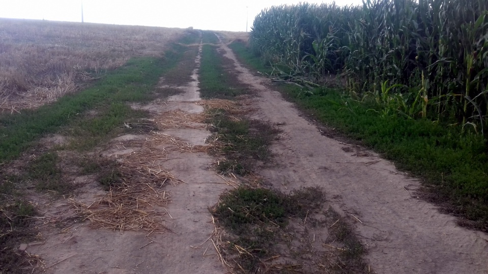 Wiele dróg transportu rolnego w gminie Kietrz nie nadaje się do użytku [fot. Mariusz Chałupnik]